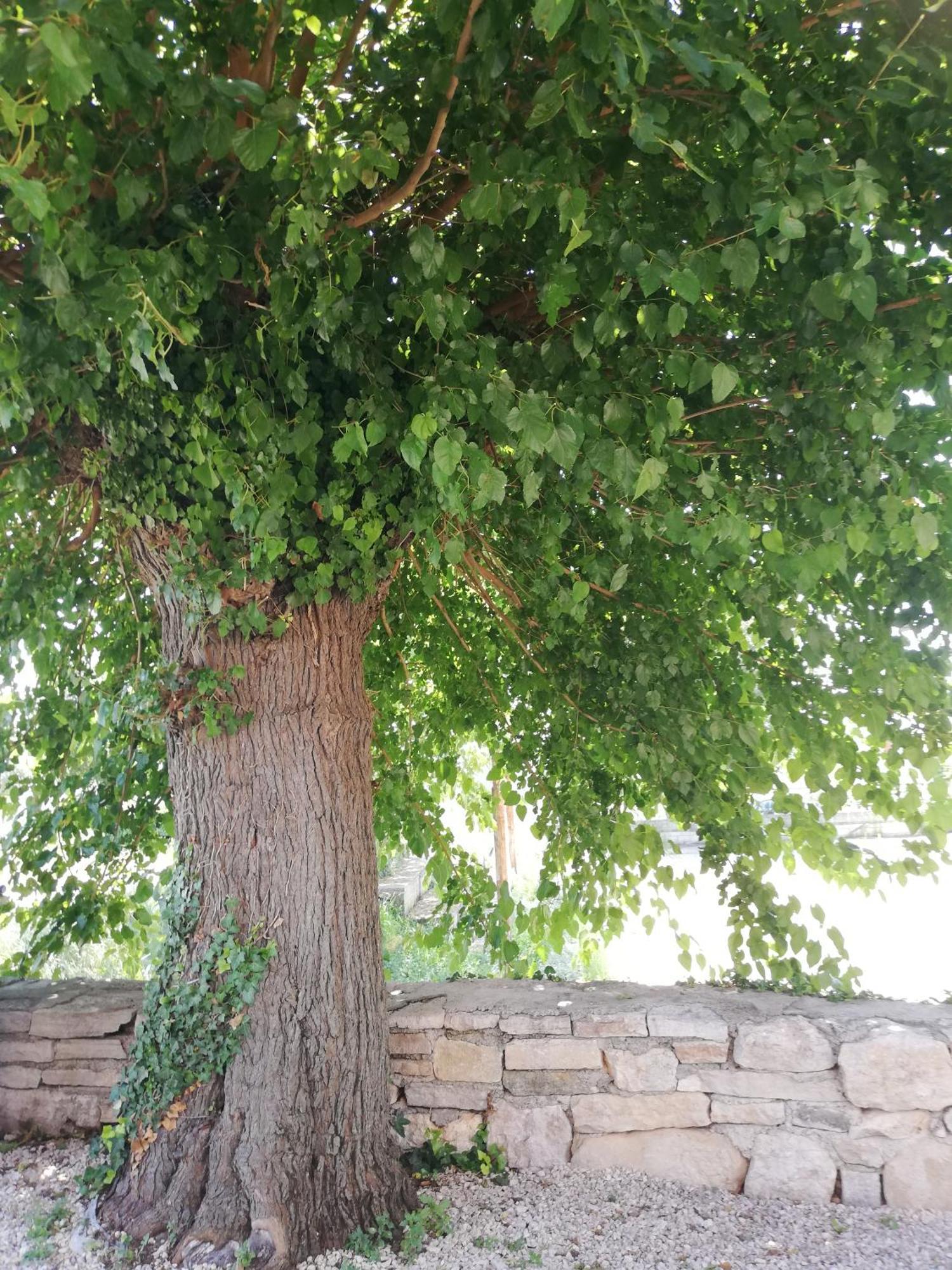 Villa Lory Sveti Lovreč Pazenatički Exterior foto