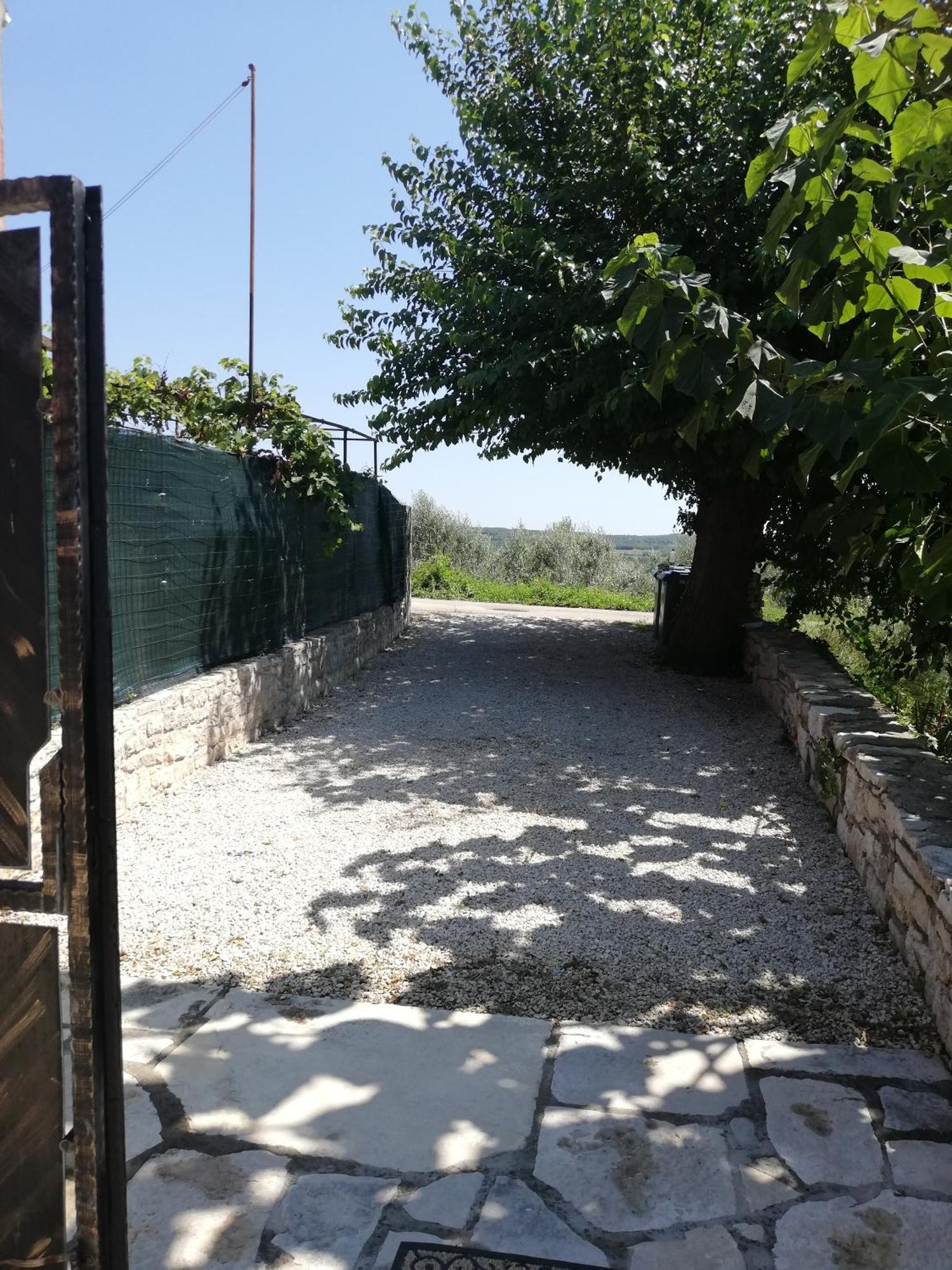 Villa Lory Sveti Lovreč Pazenatički Exterior foto